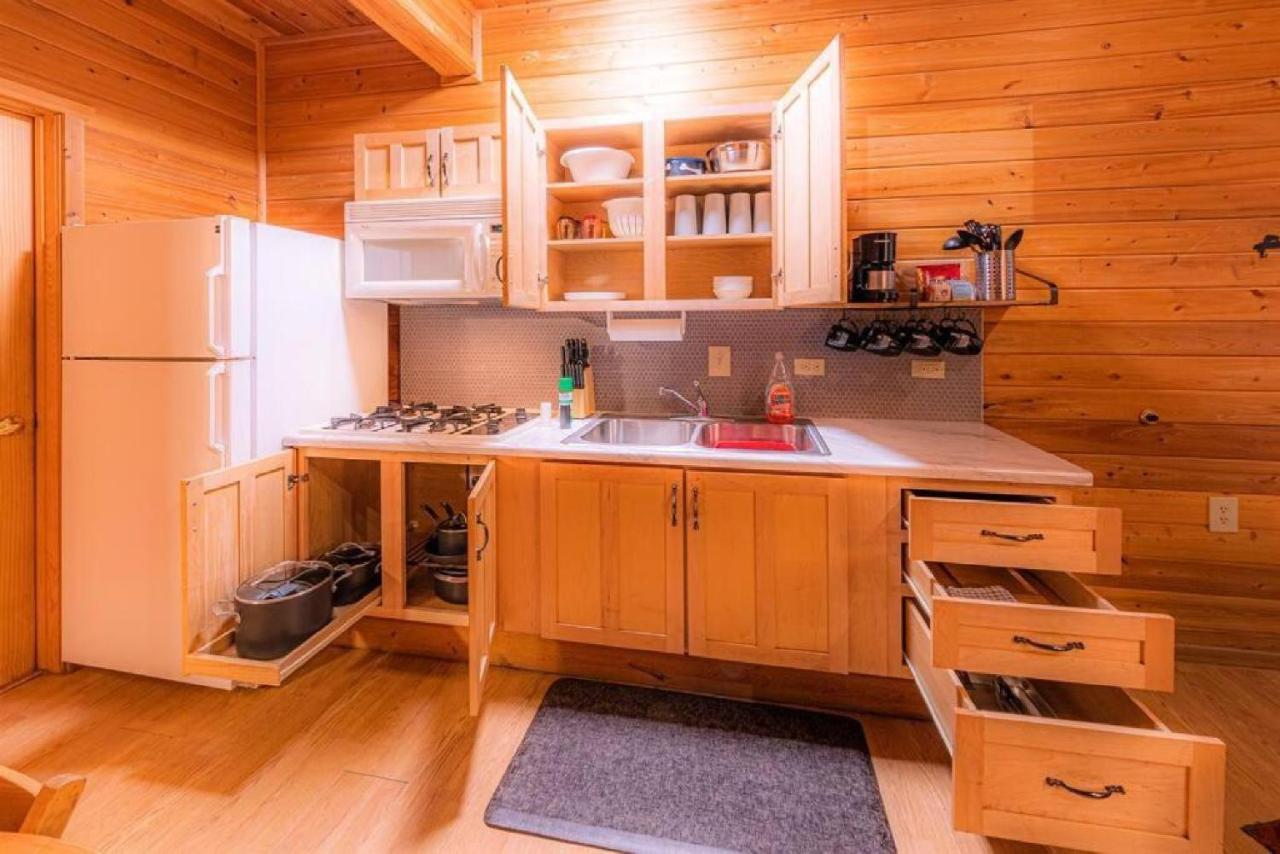 Cabin #3 Rainbow Trout - Pet Friendly- Sleeps 6 - Playground & Game Room بايسون المظهر الخارجي الصورة
